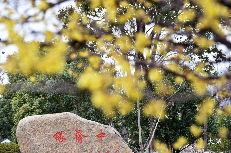 浙江中医药大学风景照二
