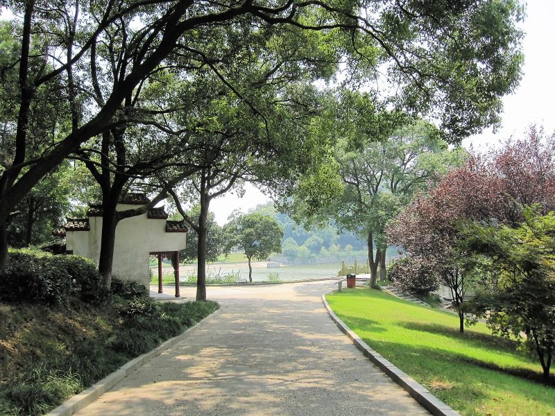 3 岳阳君山岛